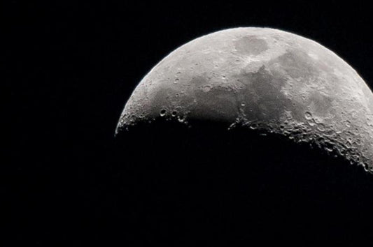 La loca idea de los científicos australianos: para 2025 quieren cultivar plantas... ¡en la Luna!