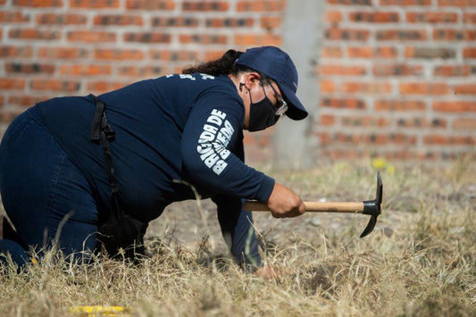 México: En Guanajuato, asesinatos, teatro, turismo y fábricas de Mazda