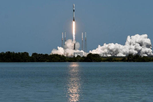SpaceX, acusada de matar tortugas marinas, podría enfrentarse a acciones legales en México